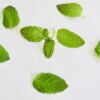 Daun Mint Pexels Photo 5498004