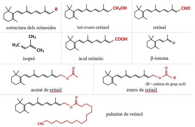 Struktur Kimia Retinol