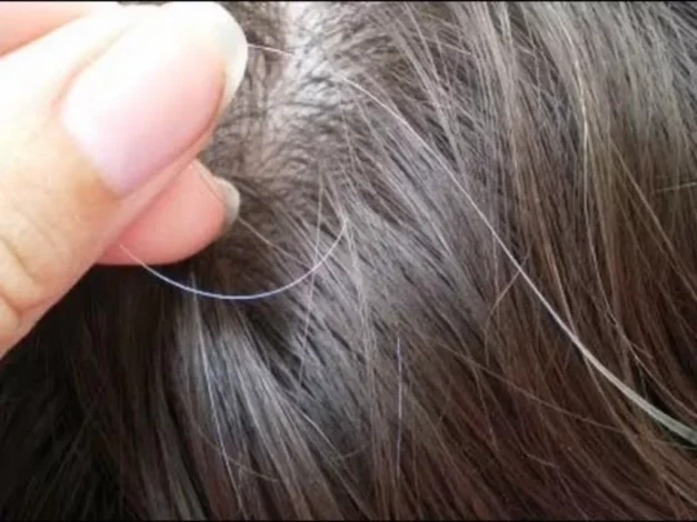 Perawatan Alami Penuaan Rambut