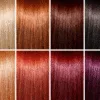 Memilih Warna Rambut 2