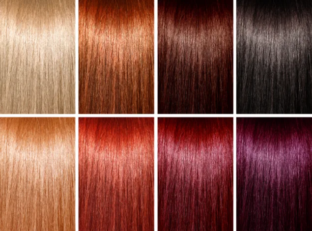 Memilih Warna Rambut 2
