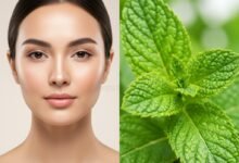 Manfaat daun mint 4 tn1